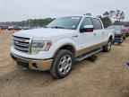 2013 FORD F-150 Lightning