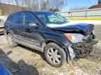 2009 HONDA CR-V