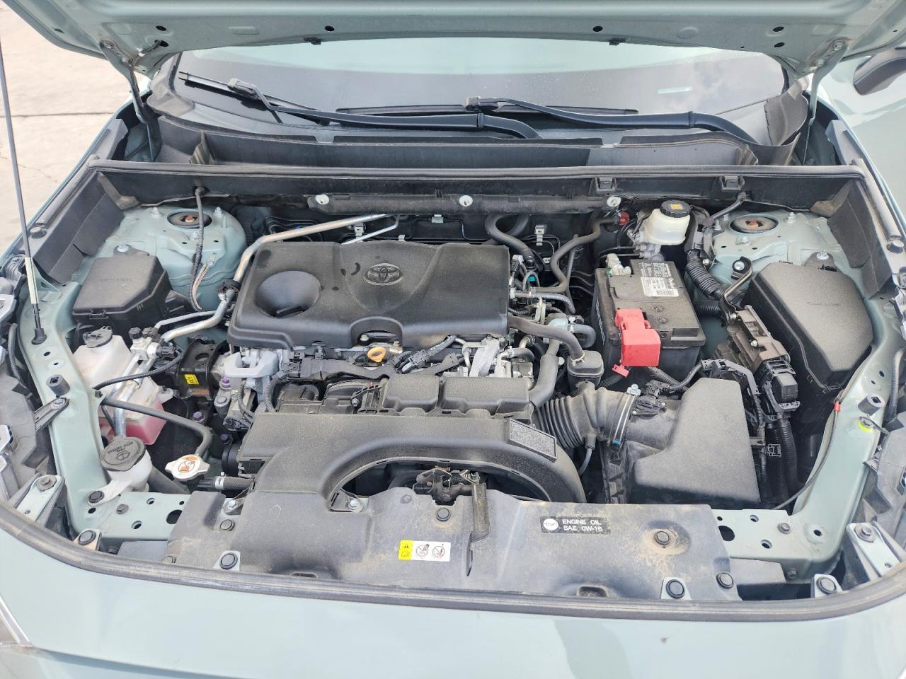 2019 TOYOTA RAV4