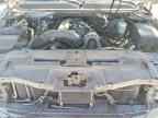 2010 CHEVROLET Avalanche