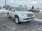 2010 LEXUS GX 460
