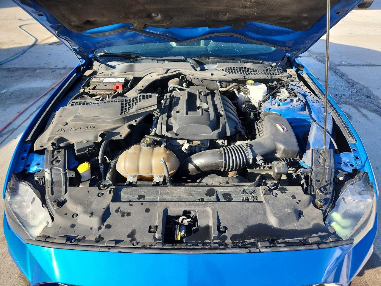2019 FORD MUSTANG