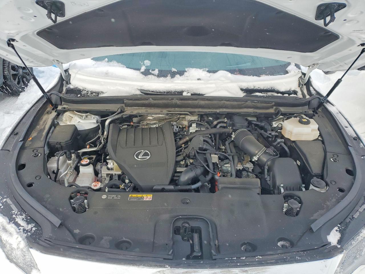 2023 LEXUS RX 500H