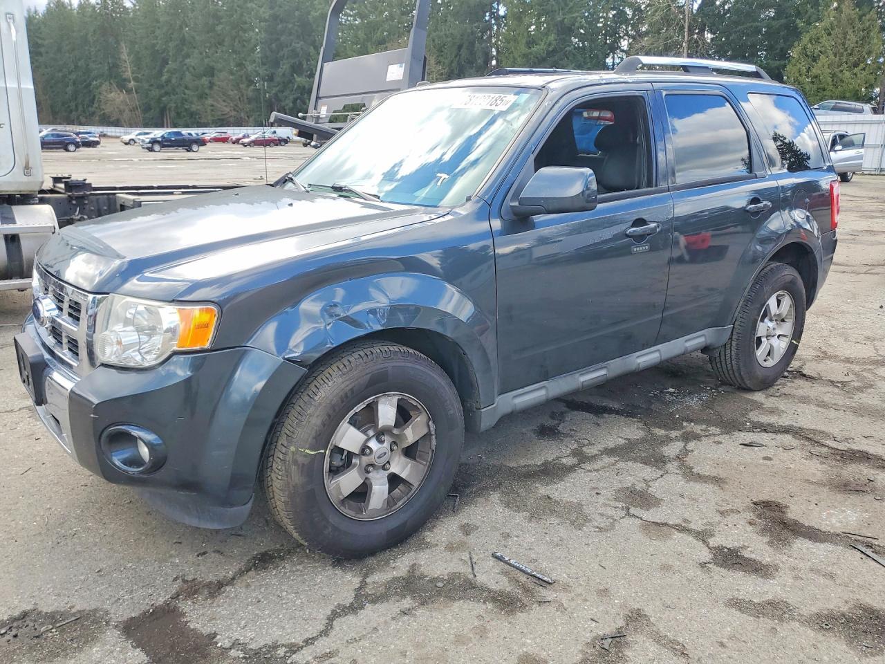 2009 FORD ESCAPE