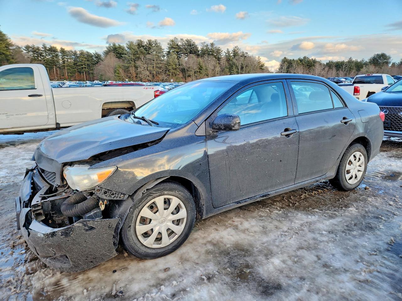 2010 TOYOTA COROLLA