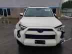 2023 TOYOTA 4Runner