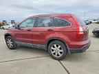 2008 HONDA CR-V
