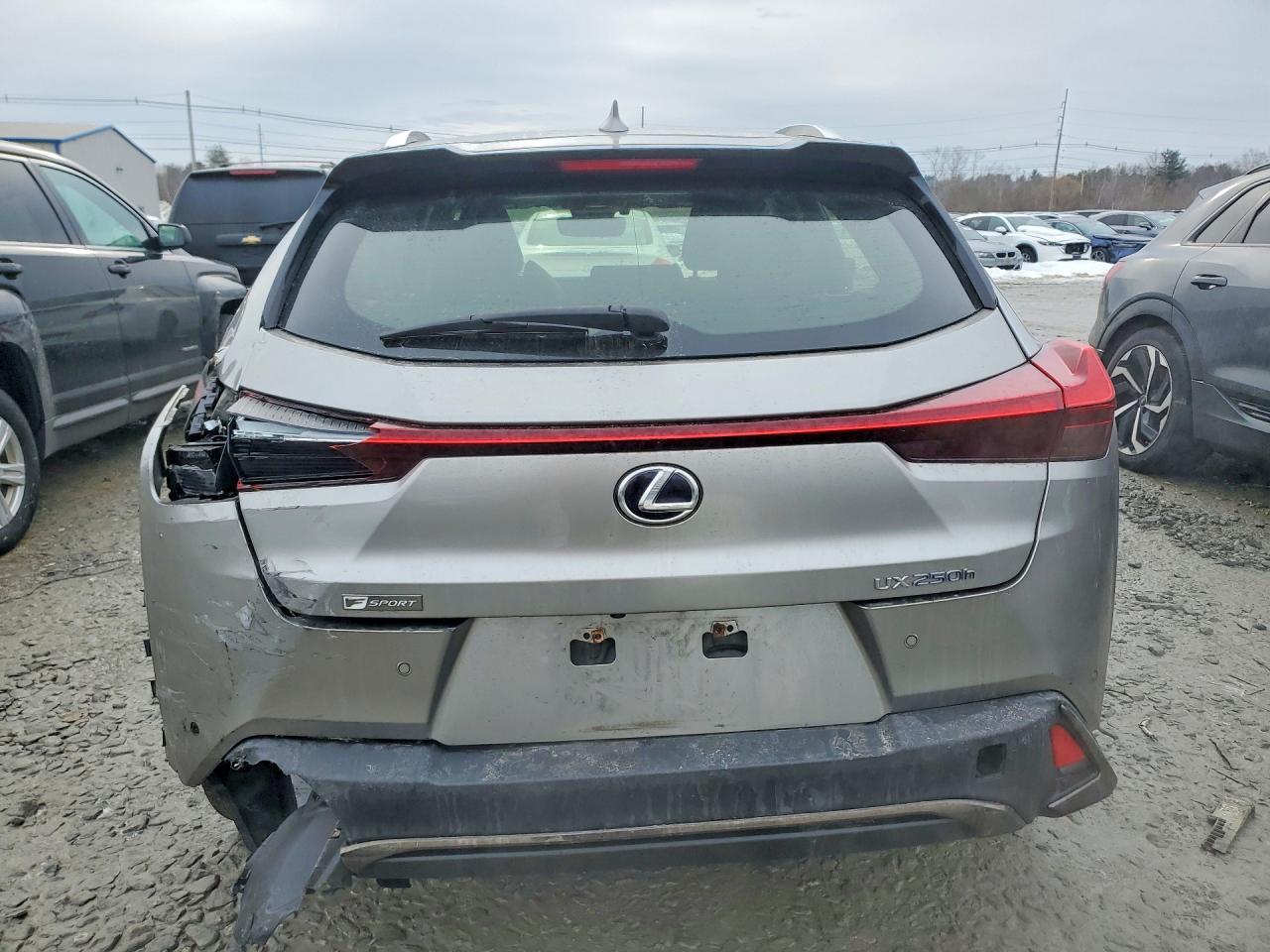 2019 LEXUS UX 250H