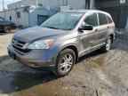 2010 HONDA CR-V