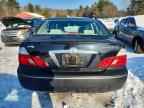 2004 TOYOTA Avalon