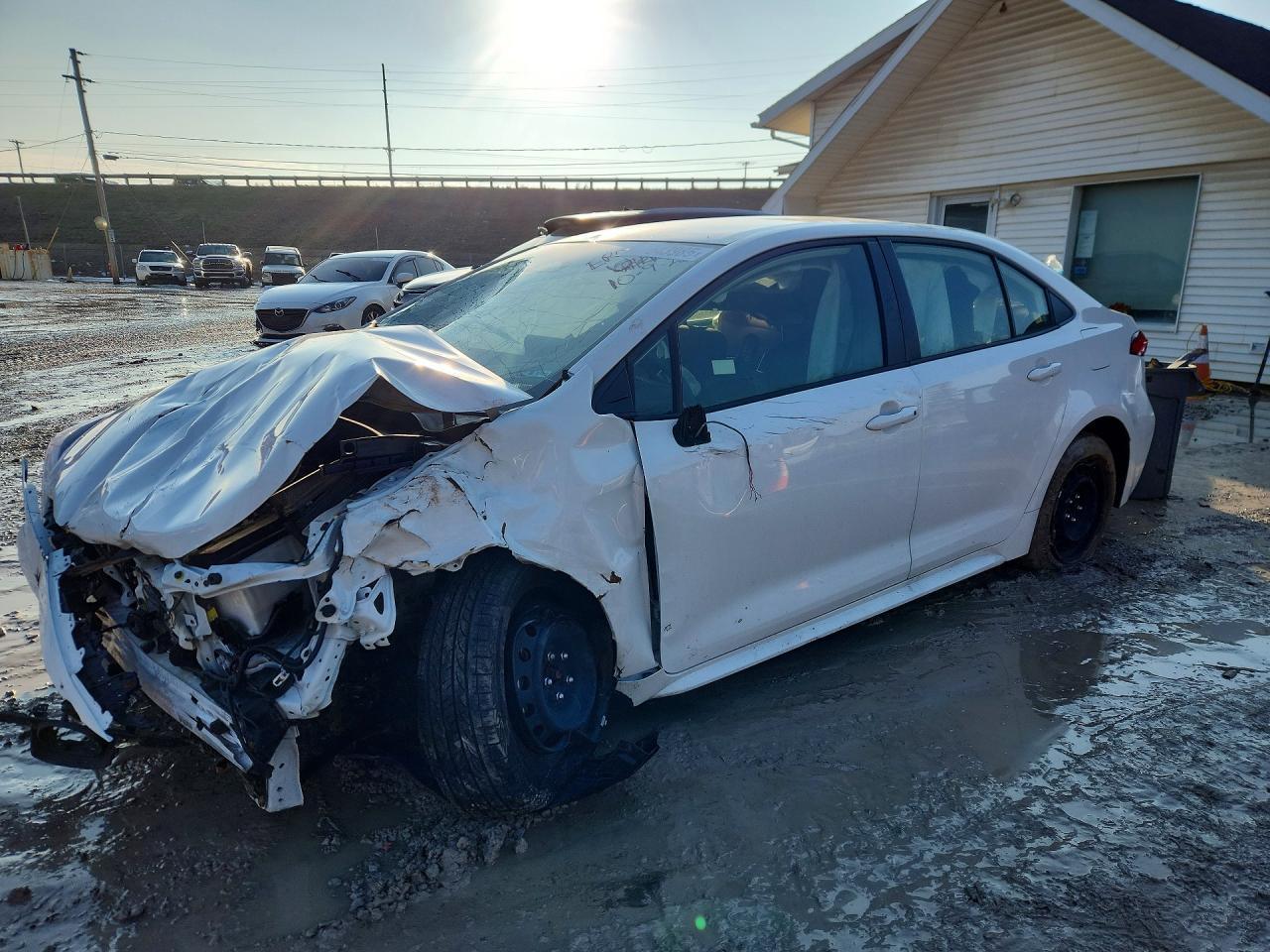 2024 TOYOTA COROLLA