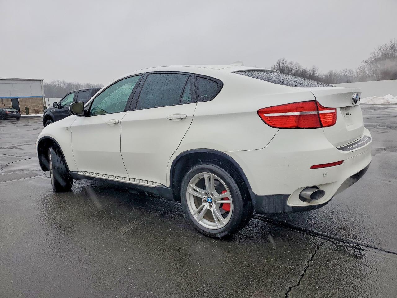 2009 BMW X6