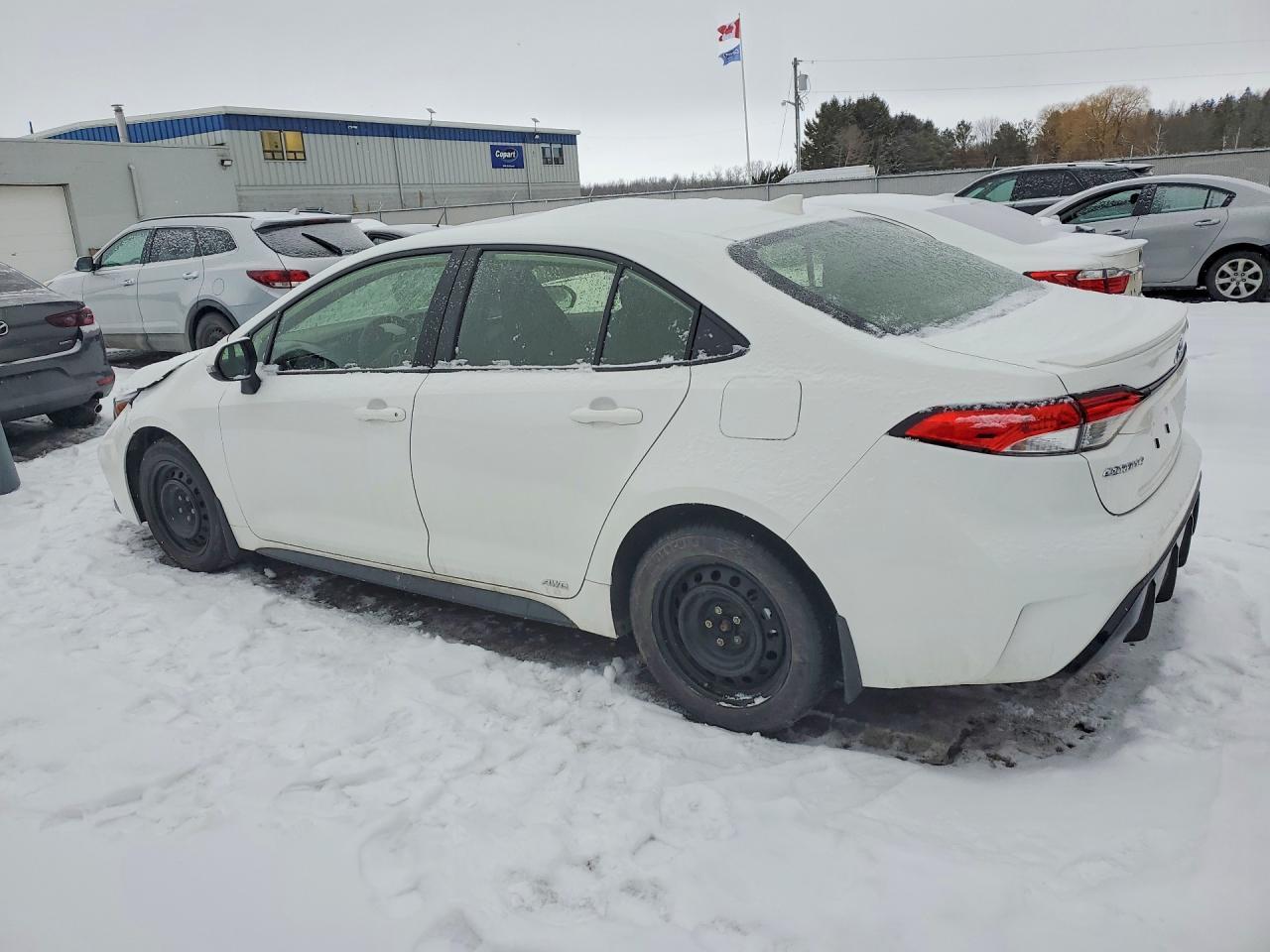 2026 TOYOTA COROLLA