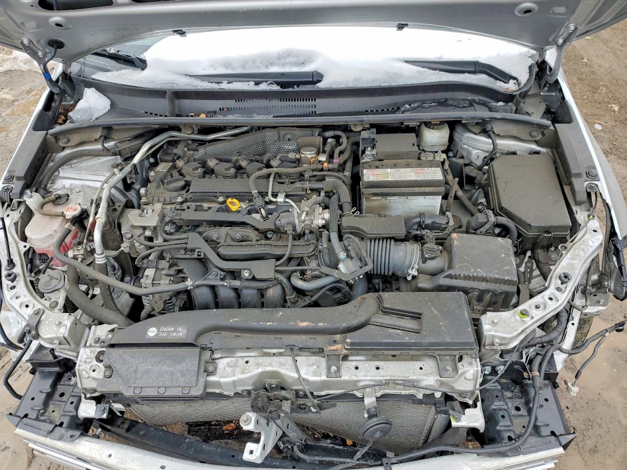 2023 TOYOTA COROLLA