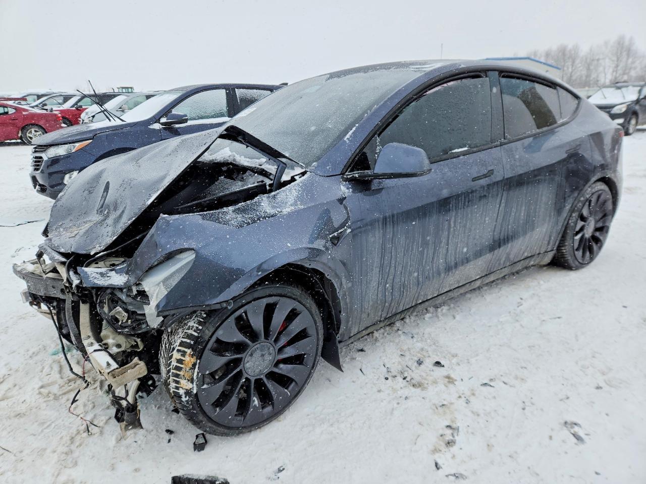 2023 TESLA MODEL Y