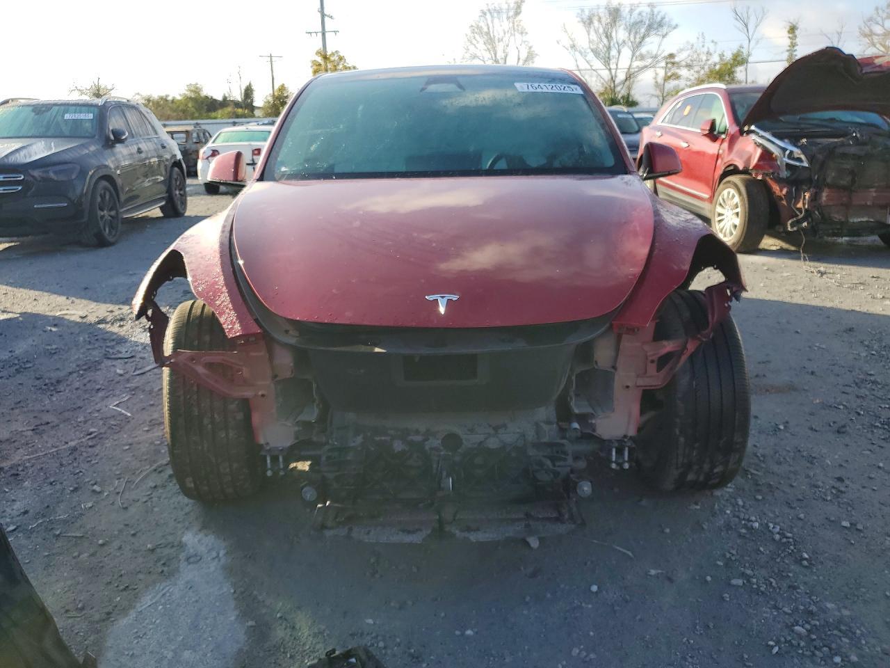 2025 TESLA MODEL Y