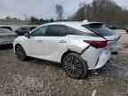 2024 LEXUS RX 350
