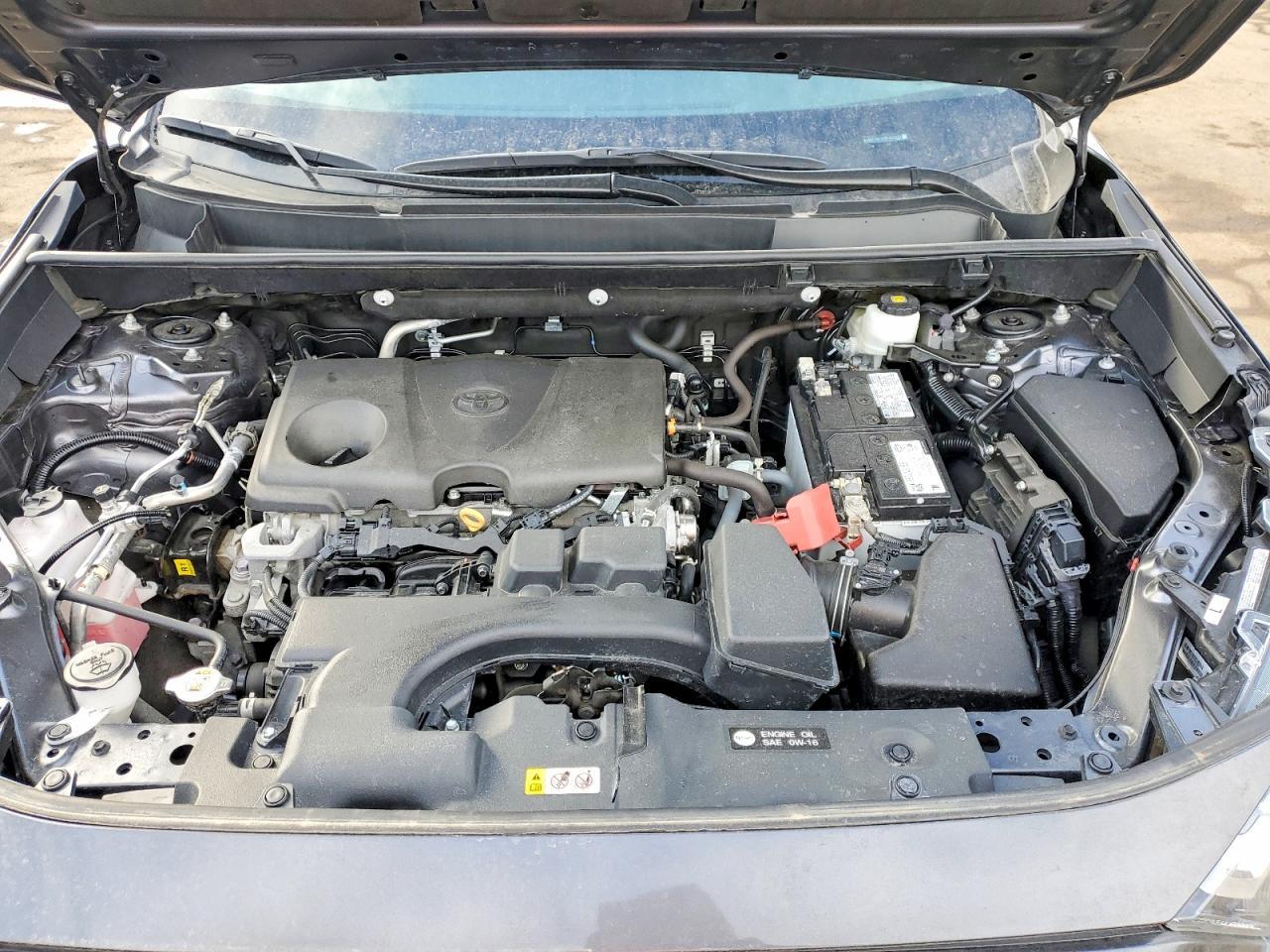 2024 TOYOTA RAV4