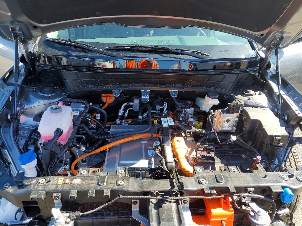 2025 KIA Niro