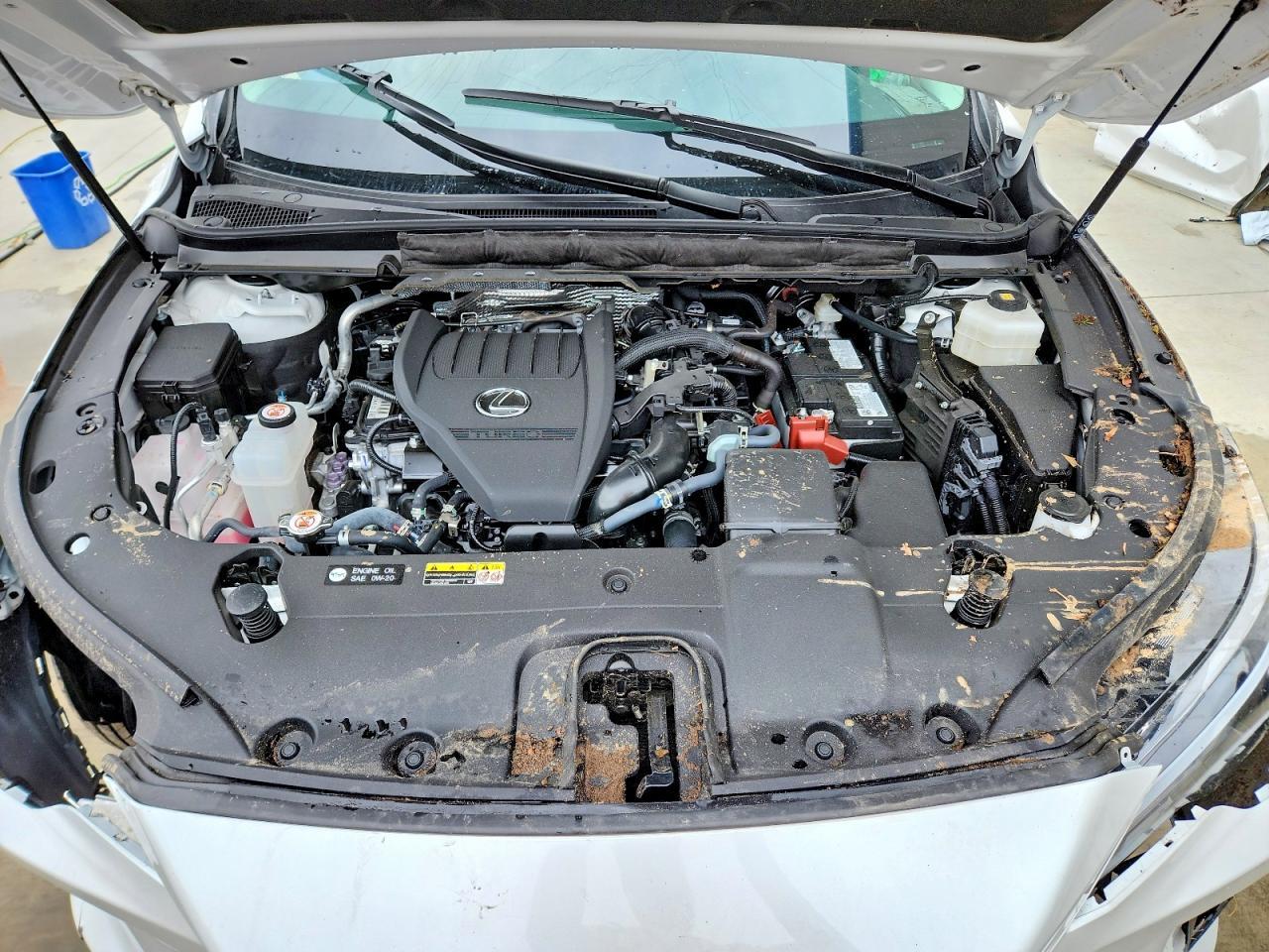 2024 LEXUS RX 350