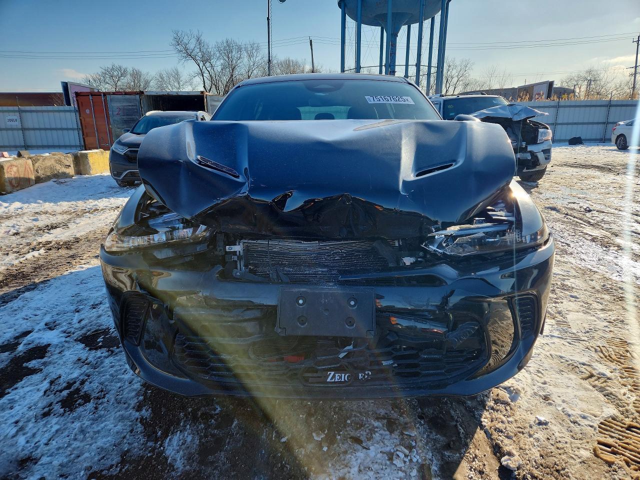 2023 DODGE Hornet