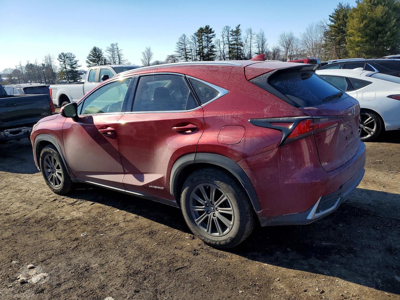 2019 LEXUS NX 300H