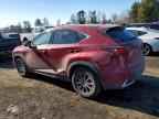 2019 LEXUS NX 300H