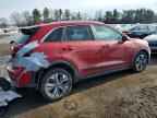 2022 KIA Niro
