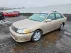 2004 TOYOTA Avalon