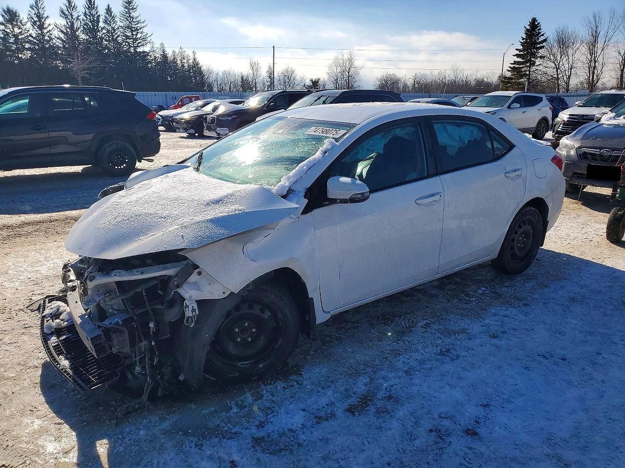 2019 TOYOTA COROLLA