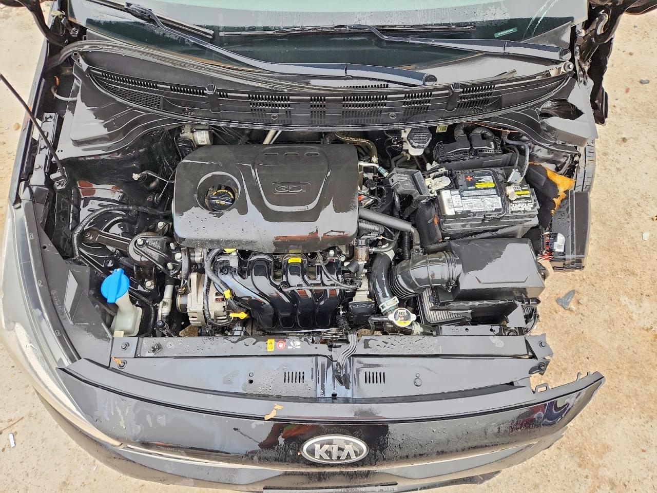 2019 KIA RIO