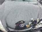 2004 LEXUS ES 330