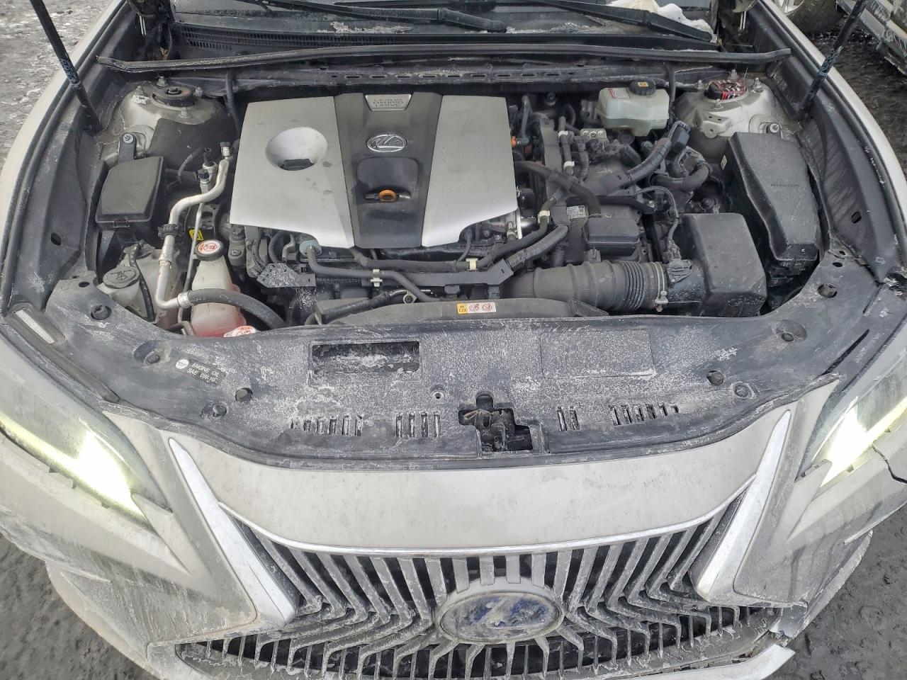 2020 LEXUS ES 300H