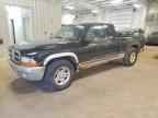 2004 DODGE Dakota