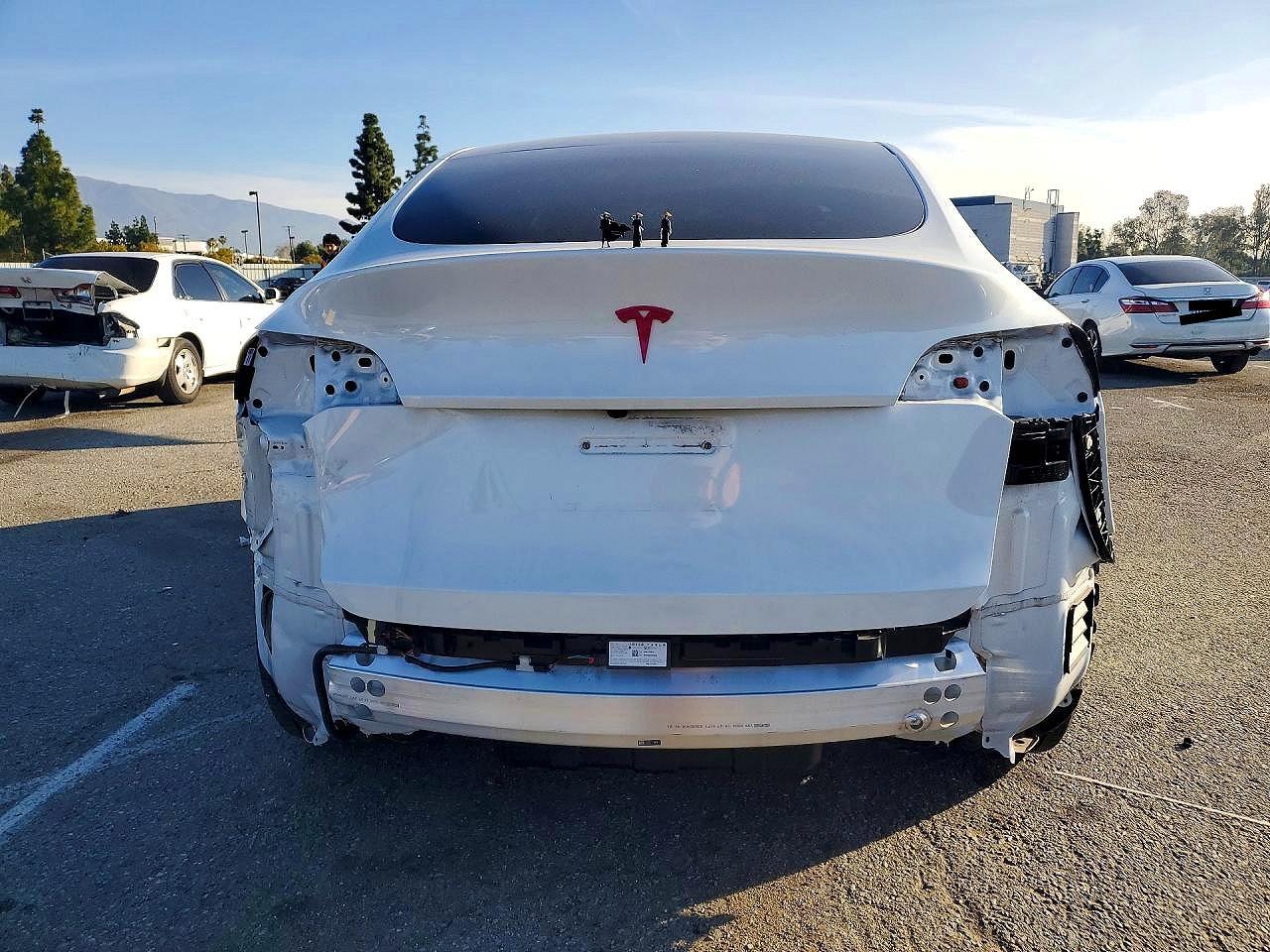 2024 TESLA MODEL Y