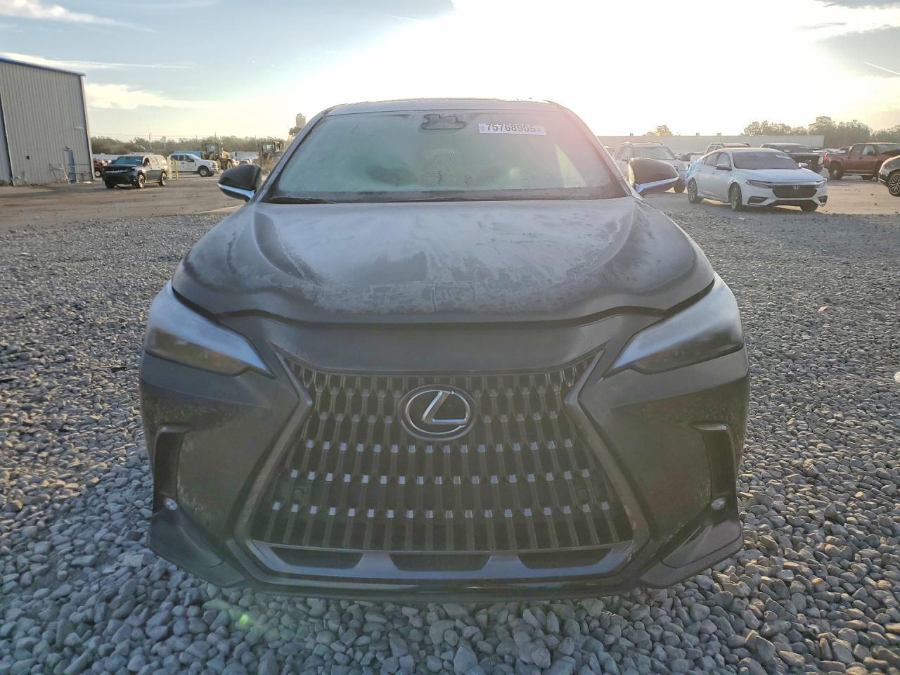 2025 LEXUS NX 250