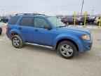 2010 FORD ESCAPE
