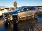 2026 KIA Niro