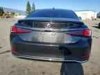 2025 LEXUS ES 300H