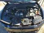 2023 DODGE Hornet