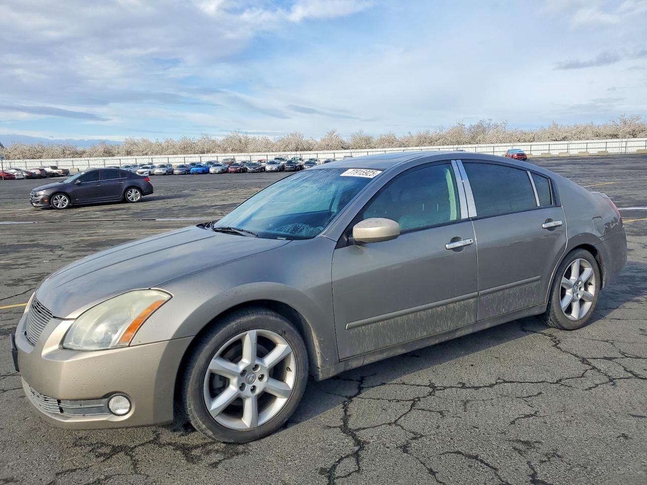 2004 NISSAN Maxima