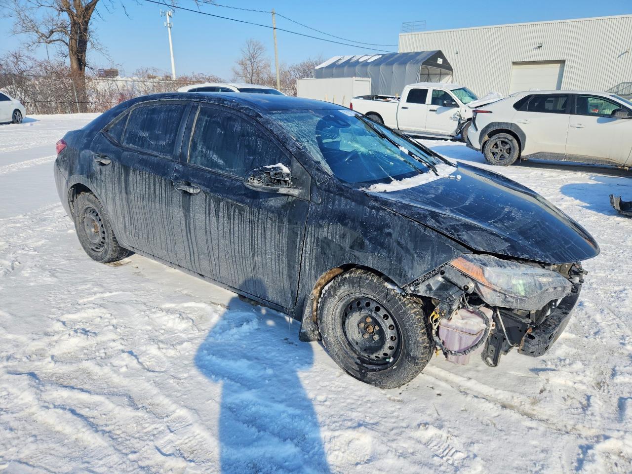 2019 TOYOTA COROLLA