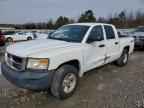2008 DODGE Dakota
