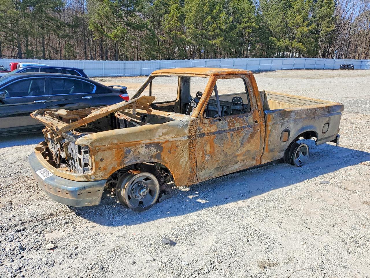 1995 FORD F-150 Lightning
