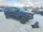 2025 TOYOTA 4Runner