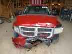 2008 DODGE Dakota