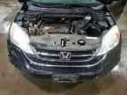 2010 HONDA CR-V