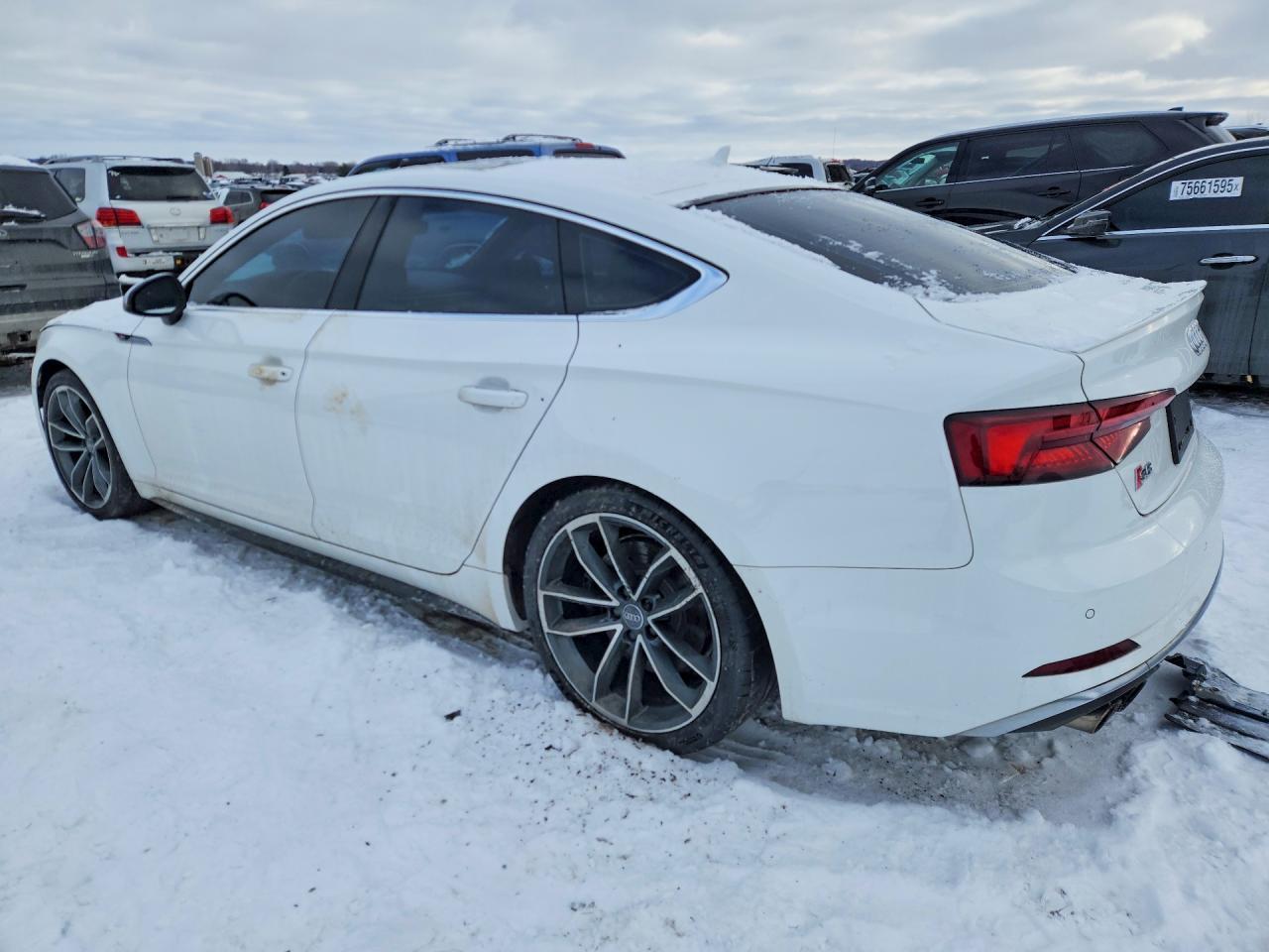 2019 AUDI S5