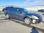 2010 NISSAN ALTIMA