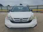 2010 HONDA CR-V